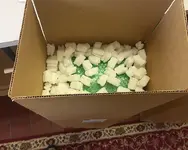 shipping5.webp