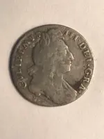 william6d.webp