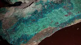 20170610_134008_1501782643083.webp