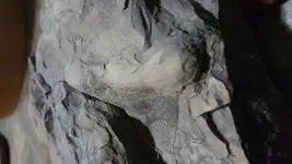 20170814_210330.webp