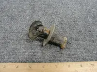 DSC03036.webp