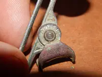 DSCN7379.webp