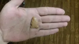 20170916_213100.webp