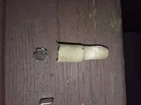 20171004_181928.webp