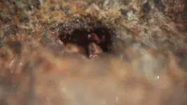 DSCF1158.webp