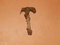DSCN7405.webp