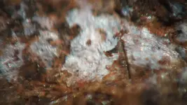 DSCF1149.webp