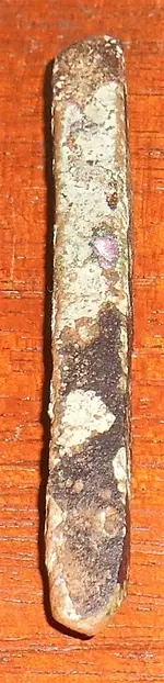 DSCN6917.webp