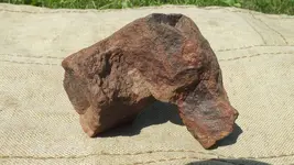 DSCF1043.webp