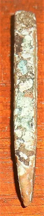 DSCN6916.webp