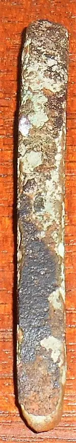 DSCN6919.webp