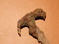 DSCN7409.webp