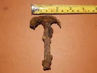 DSCN7411.webp