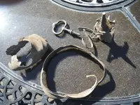DSCF1522.webp