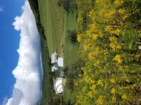 20170907_121954.webp