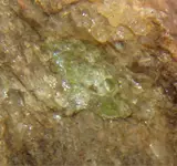 ImageUploadedByTreasureNet.com1506371803.352296.webp