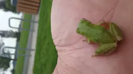 20170923_093838.webp