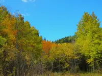 trip 100517 1.webp