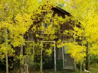 trip 100517 2.webp