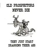 prospector (2).webp