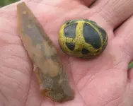Flint & Bead.webp