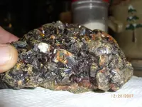 CIMG6177.webp