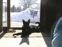 sunny day.webp