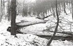 russell hollow.webp