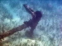 anchor2x50%.webp
