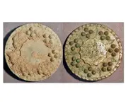 buttoncompare.webp