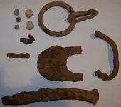 finds.webp