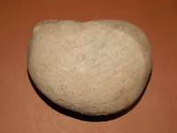 DSCN7236.webp
