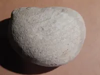 DSCN7237.webp