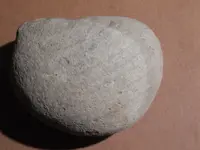 DSCN7238.webp