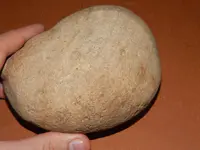 DSCN7240.webp