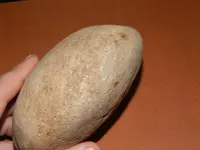 DSCN7241.webp
