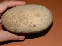 DSCN7242.webp
