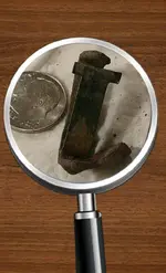 1507247569338.webp