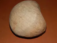 DSCN7244.webp