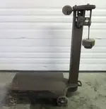 weight scale.webp