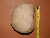 DSCN7245.webp