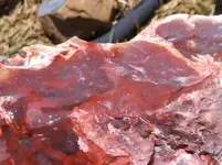20170806_123855.webp