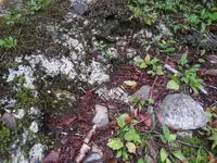 20170908_091710.webp