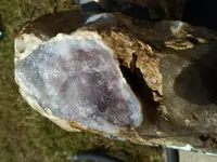 20170806_124115.webp