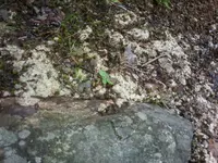 20170908_091651.webp
