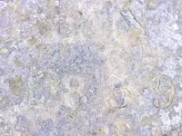 1791712128363.webp