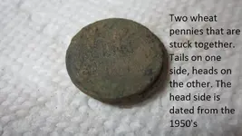 2 Buffalo & Two Silvers 027.webp