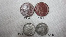 2 Buffalo & Two Silvers 030.webp