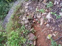 20170908_093444.webp