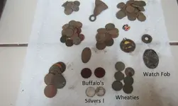 2 Buffalo & Two Silvers 033.webp
